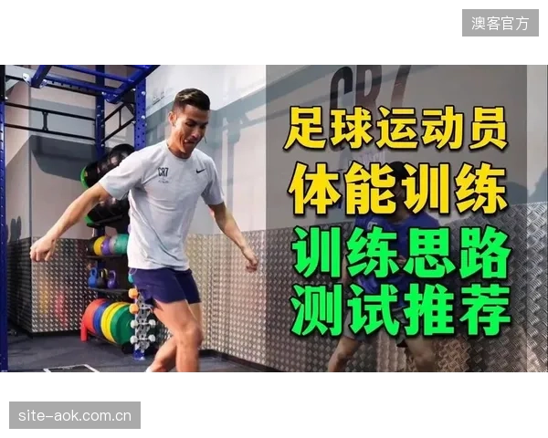 球队年龄结构合理，大赛经验与体能储备达到较好平衡。